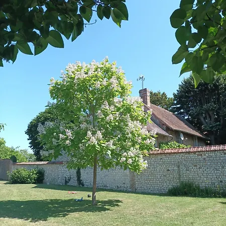 Hébergement de vacances L'olivier Muids